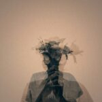 Psychobiotyki – przyszłość wellness Jak Psychonoe rewolucjonizuje zdrowie psychiczne